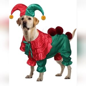 $25 if Bundled❗ Clown Jester 🎃 Dog Costume, Large Halloween Cosplay PRECIOUS!